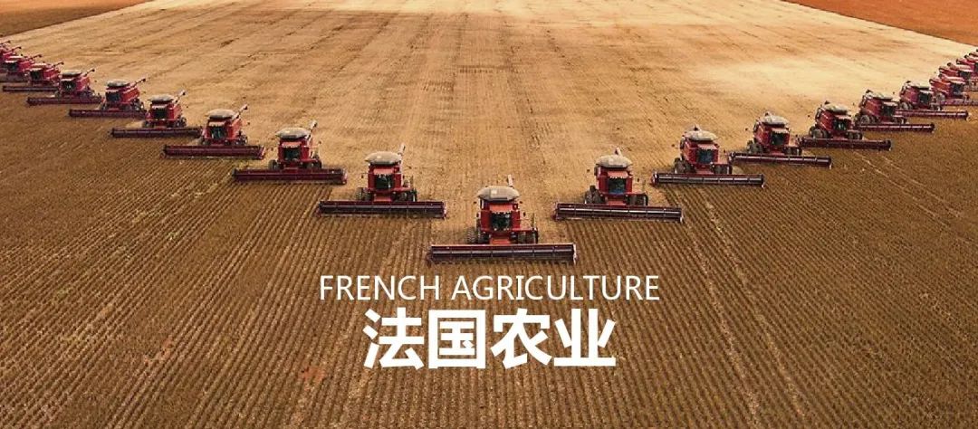 法国农业：欧盟农业大国，靠这6大战略制胜市场